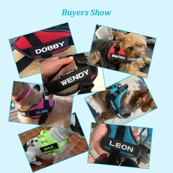 2 PCS PU Personalized Dog ID TagS