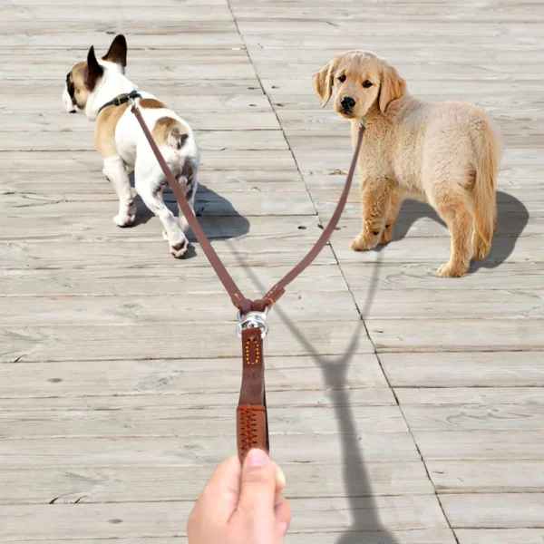 Double Two Pet Leather Leads