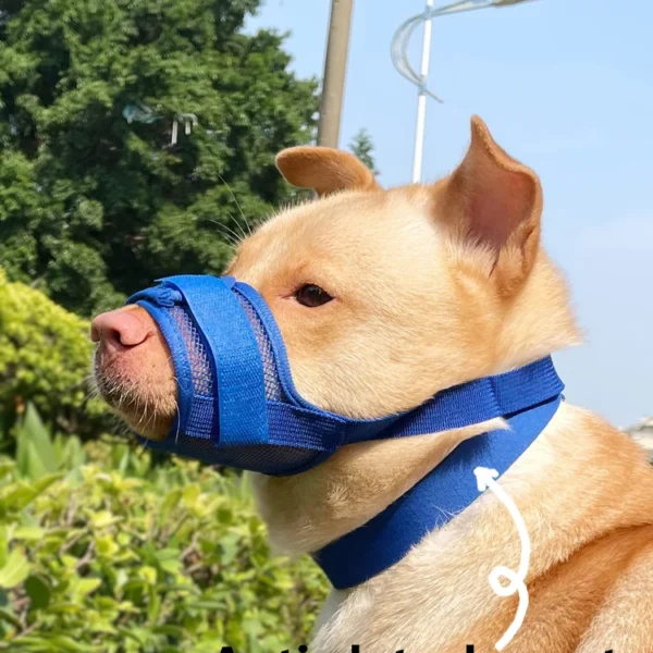 Anti-Detachment Dog Leash Muzzle