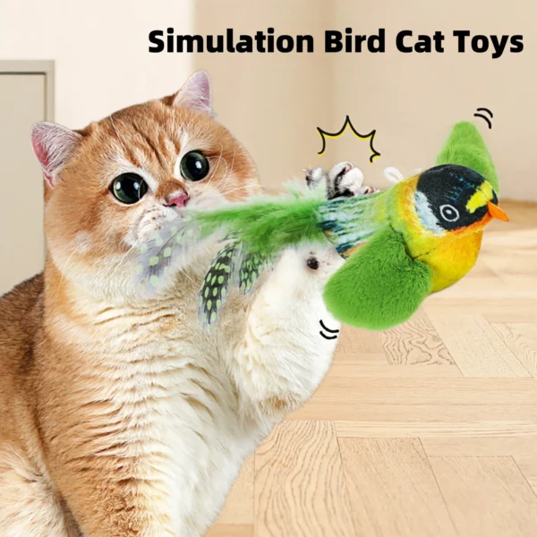 Cat Toy, Bird Sound