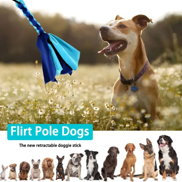 Retractable Dog Toy  Outdoor Toy