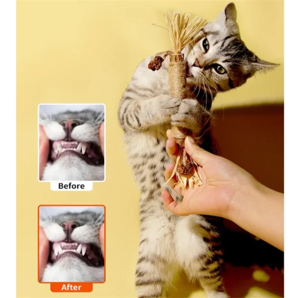 Pet Cat Snacks Stick Cleaning Teeth