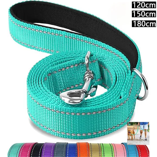 Colorful Dog & Cat Leash