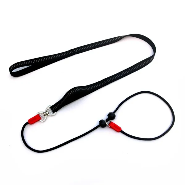 Training Dog Choking Rope Leash 2 in 1 Lead Collar
